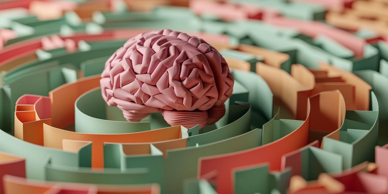 An Introduction to Forensic Psychiatry: The Intersections Between Mental Health & the Law