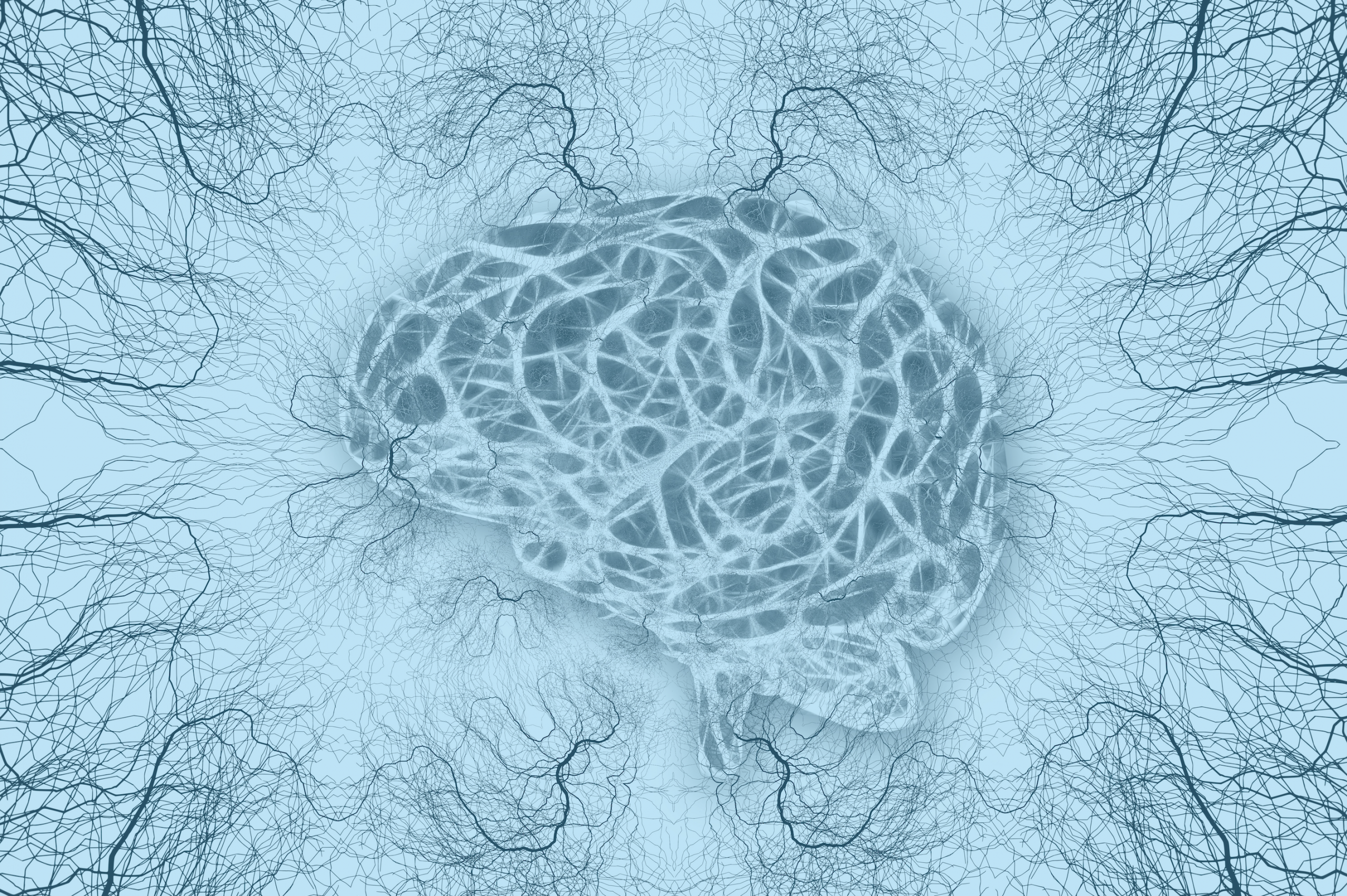 The Glymphatic System