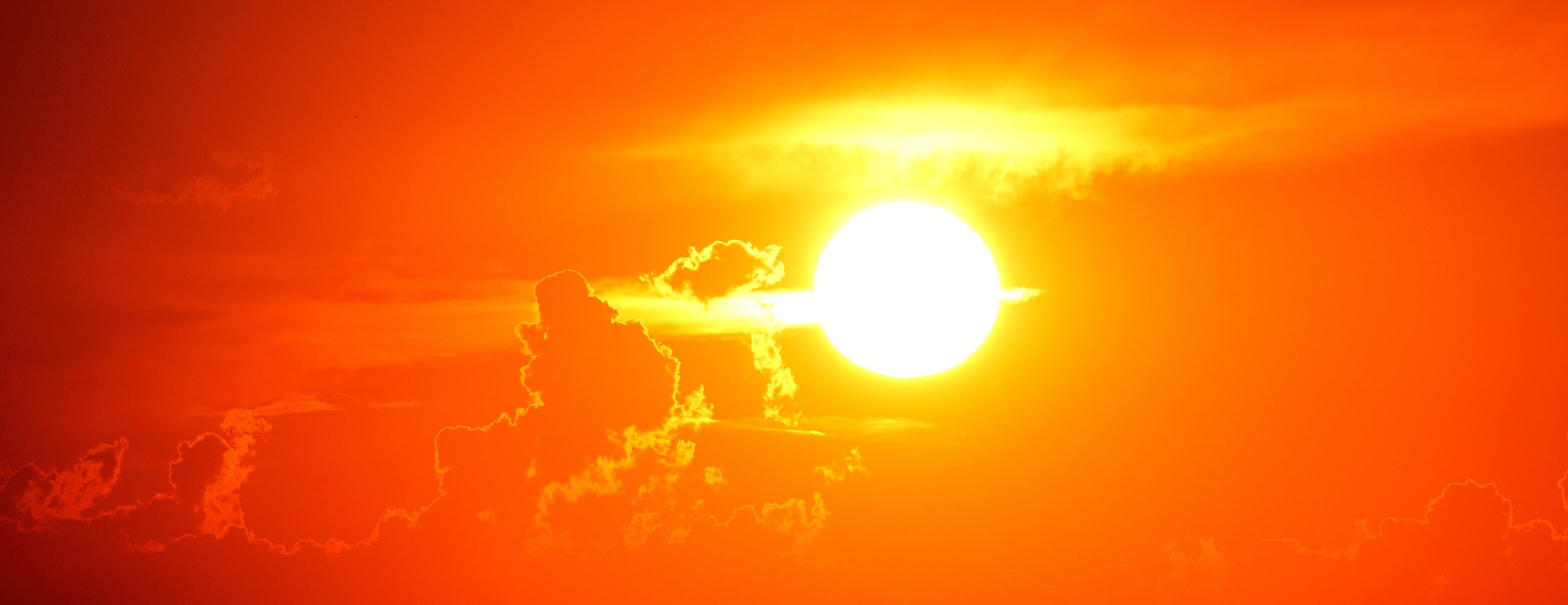 Heat Illnesses in Children
